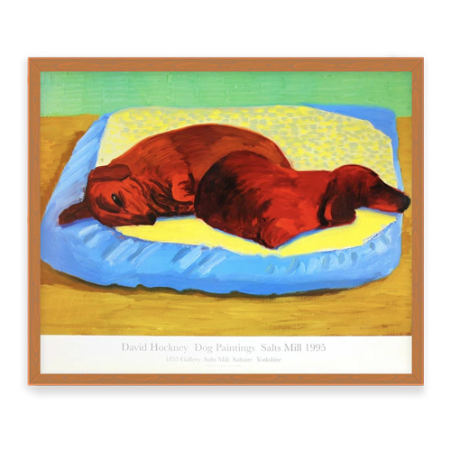 Dog 43 Poster by David Hockney